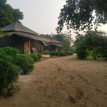 Orchard Tents & Tranquility Pushkar Esterno foto