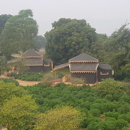 Orchard Tents & Tranquility Pushkar Esterno foto
